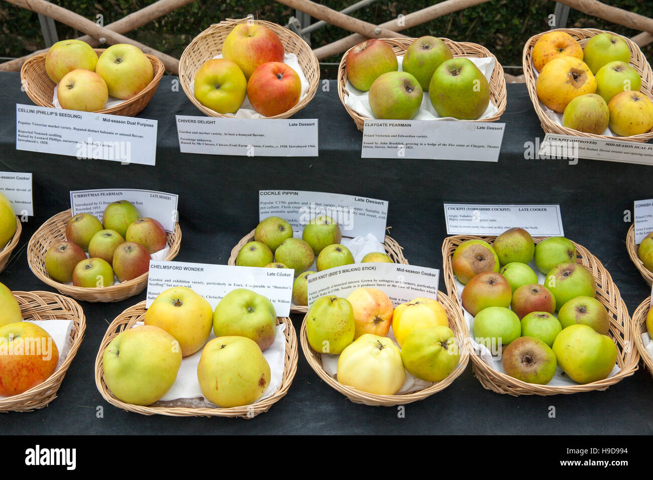 Apples on display at an agricultural show Stock Photo