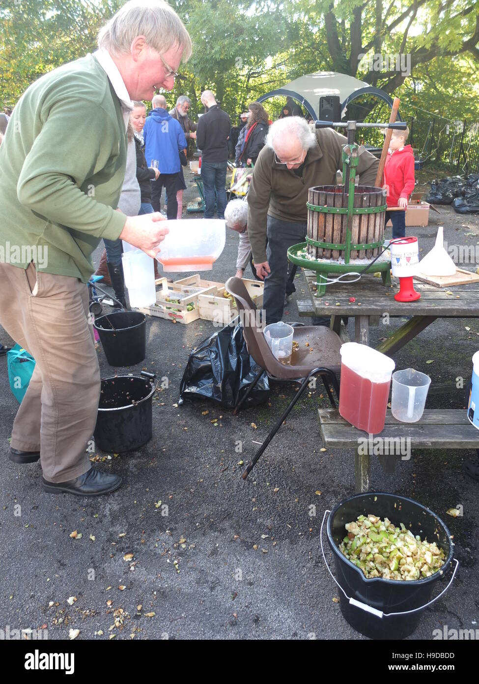 Pressing chopped up apples into juice at Cromford Apple Day Stock Photo
