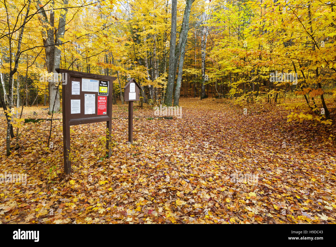 The general area of where the Civilian Conservation Corps Camp was