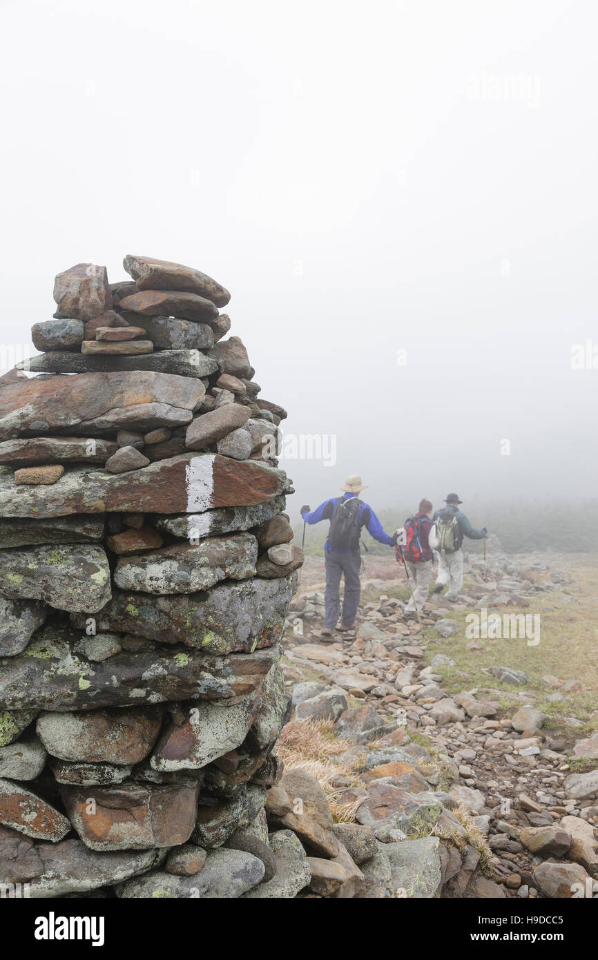 Group of hikers descending the Appalachian Trail (Beaver Brook Trail) on the summit of Mount Moosilauke, in Benton, New Hampshire USA Stock Photo
