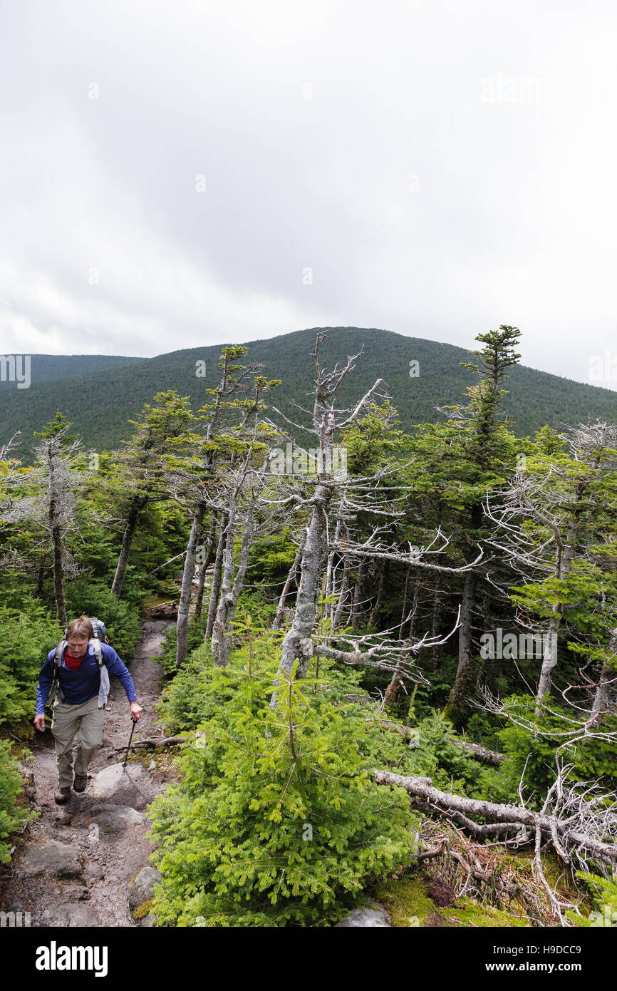 Hiker descending the Appalachian Trail (Beaver Brook Trail) on the summit of Mount Moosilauke, in Benton, New Hampshire USA during the summer months i Stock Photo