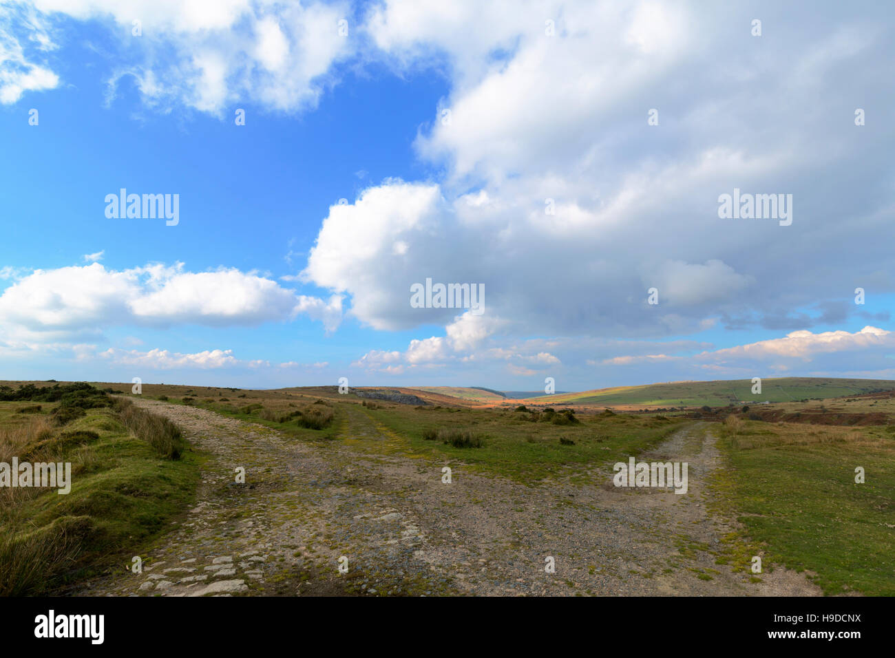 Gold Diggings Quarry Bodmin Moor Cornwall Stock Photo 2204338743