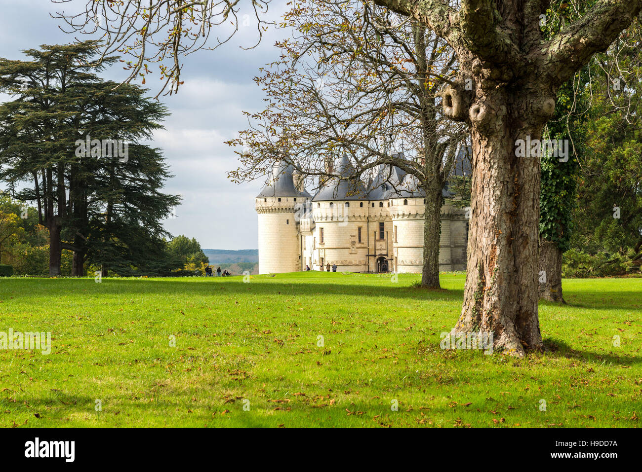 Castle 'château de Chaumont-sur-Loire' (central-western France) and its tree-filled park Stock Photo