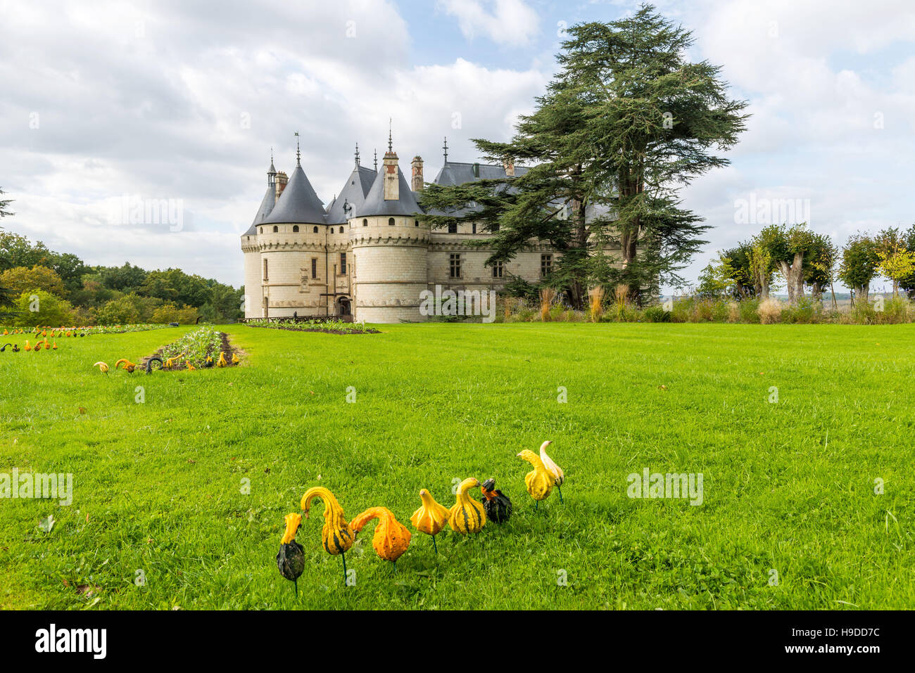 Castle 'château de Chaumont-sur-Loire' (central-western France) and its tree-filled park Stock Photo