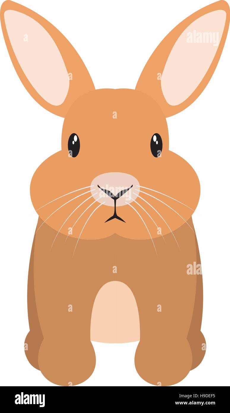 Isolated cute rabbit on a white background, Vector illustration Stock ...