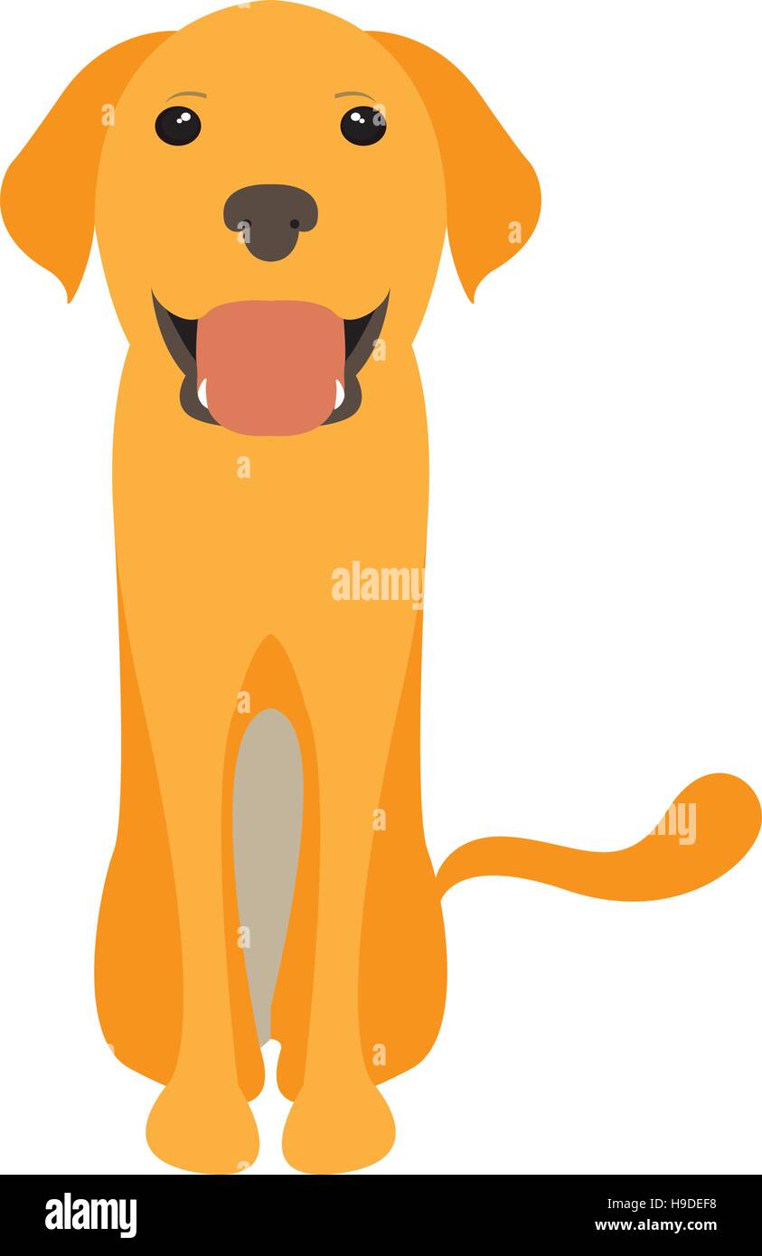 Isolated cute dog on a white background, Vector illustration Stock ...