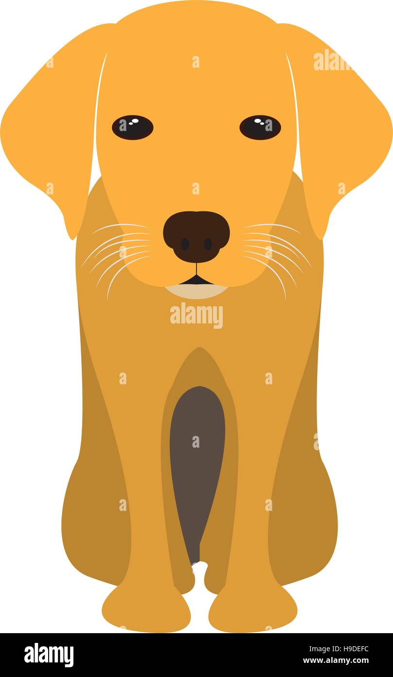 Isolated cute dog on a white background, Vector illustration Stock ...