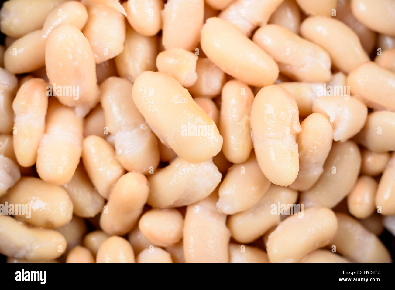 White kidney beans hires stock photography and images Alamy