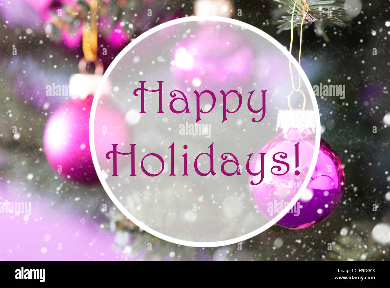 Rose Quartz Christmas Balls, Text Happy Holidays Stock Photo