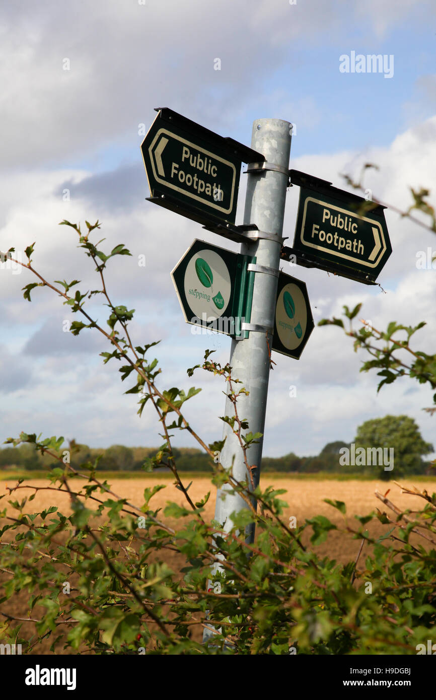 Walking, trail, route, brambles, hedgerow, narrow lane, trees, green