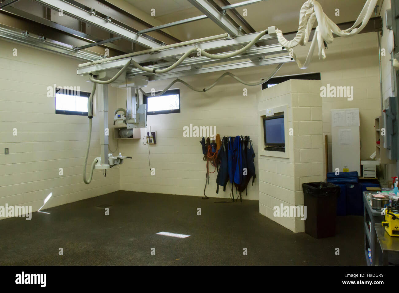 Imaging equipment inside equestrian hospital. Stock Photo