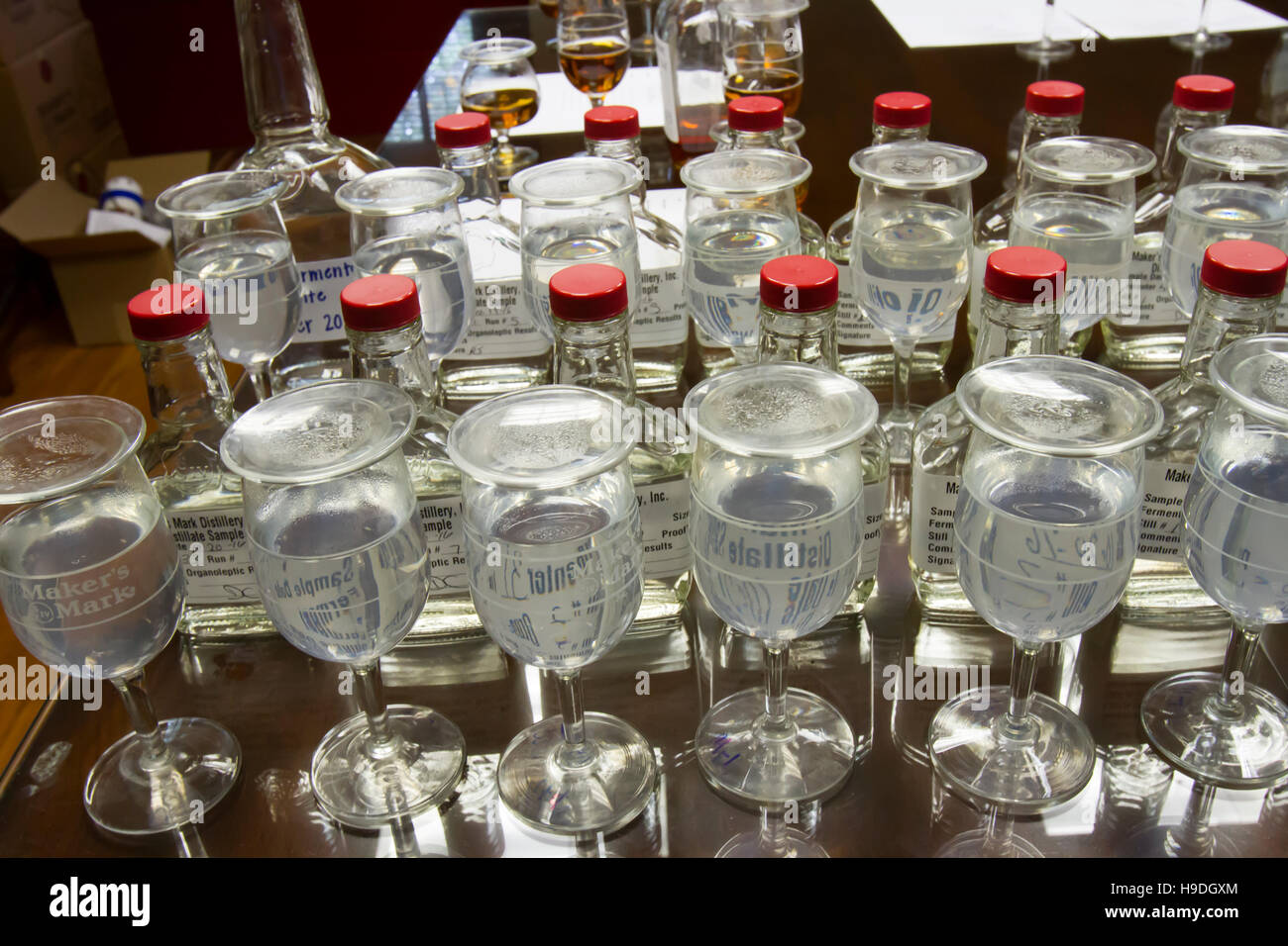 Loretto, KY, USA - October 21, 2016 :  Glasses of Maker's Mark in sensory and testing lab of distillery. Stock Photo