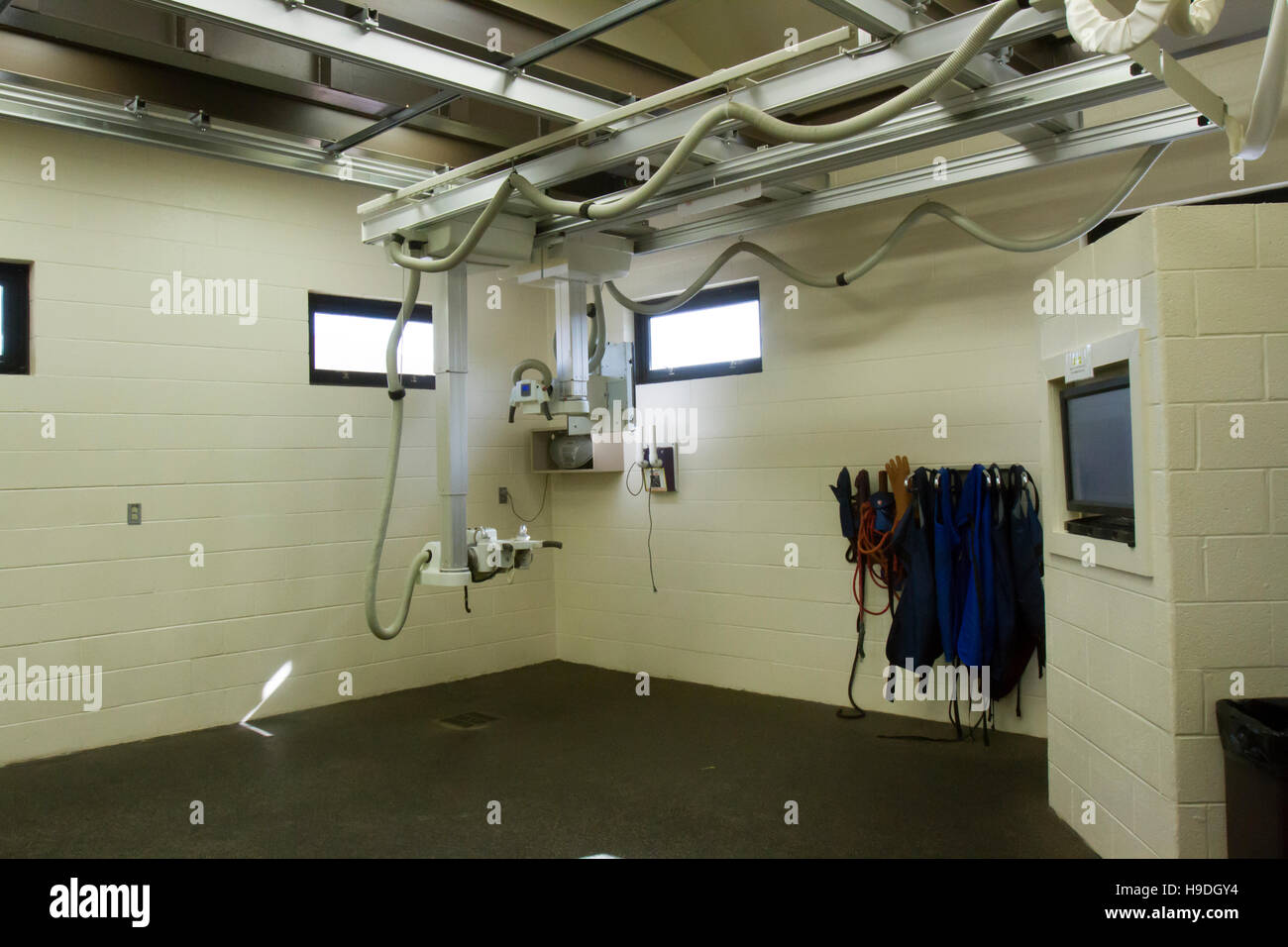 Imaging equipment inside equestrian hospital. Stock Photo