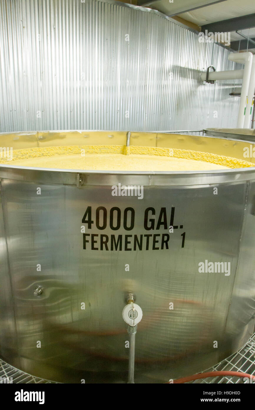 Inside aluminum 4000 gallon fermenting tanks with corn mash at craft