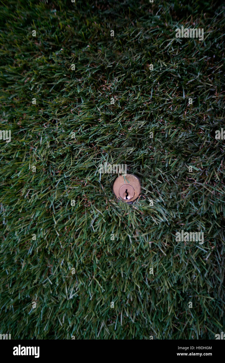 Door covered in grass Stock Photo
