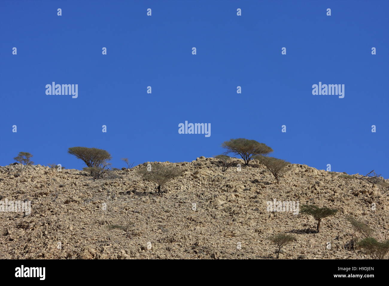 Rocky landscape, Musandam Peninsula, Oman Stock Photo