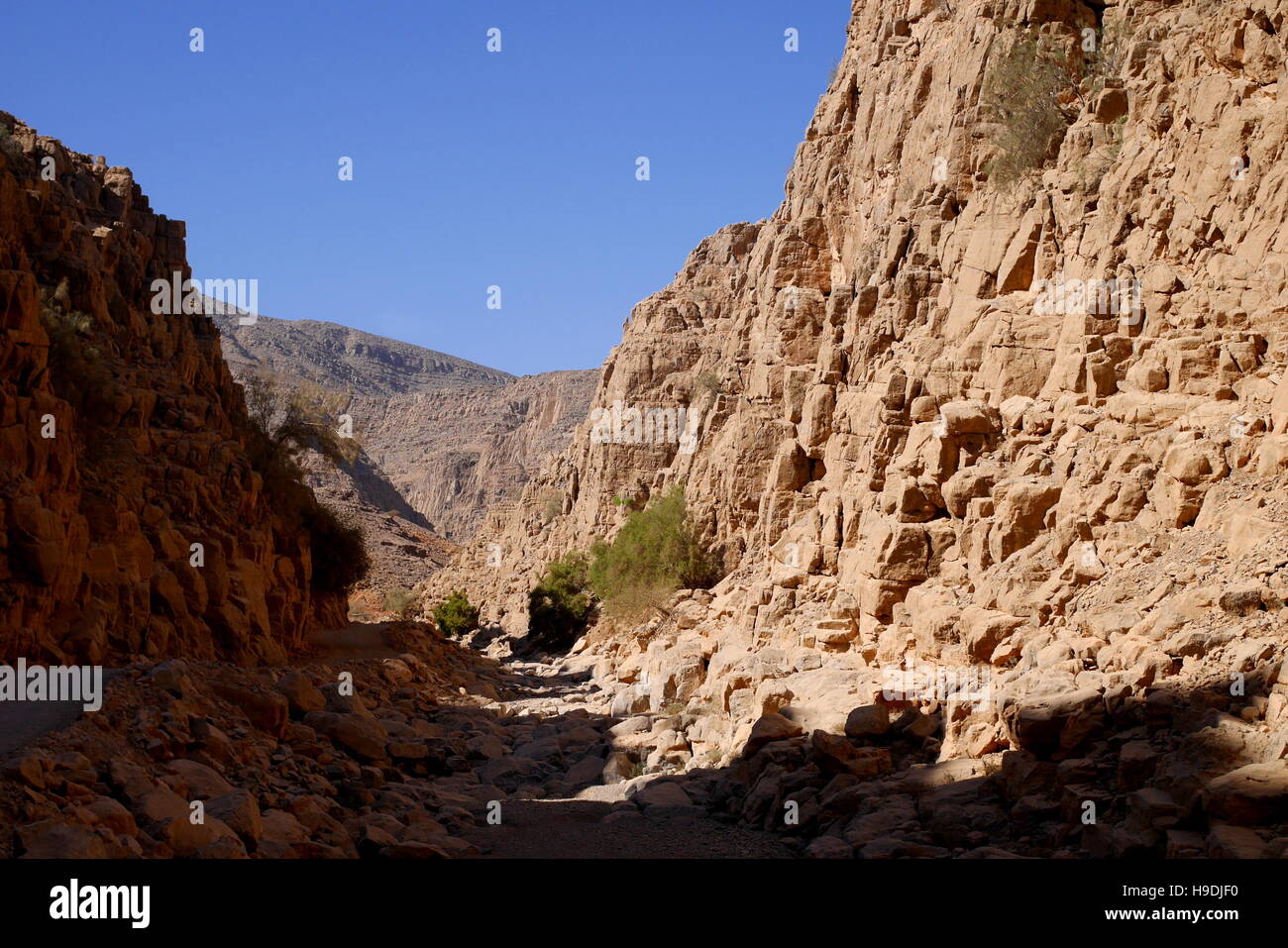 Dried up wadi, Musandam Peninsula,  Oman Stock Photo