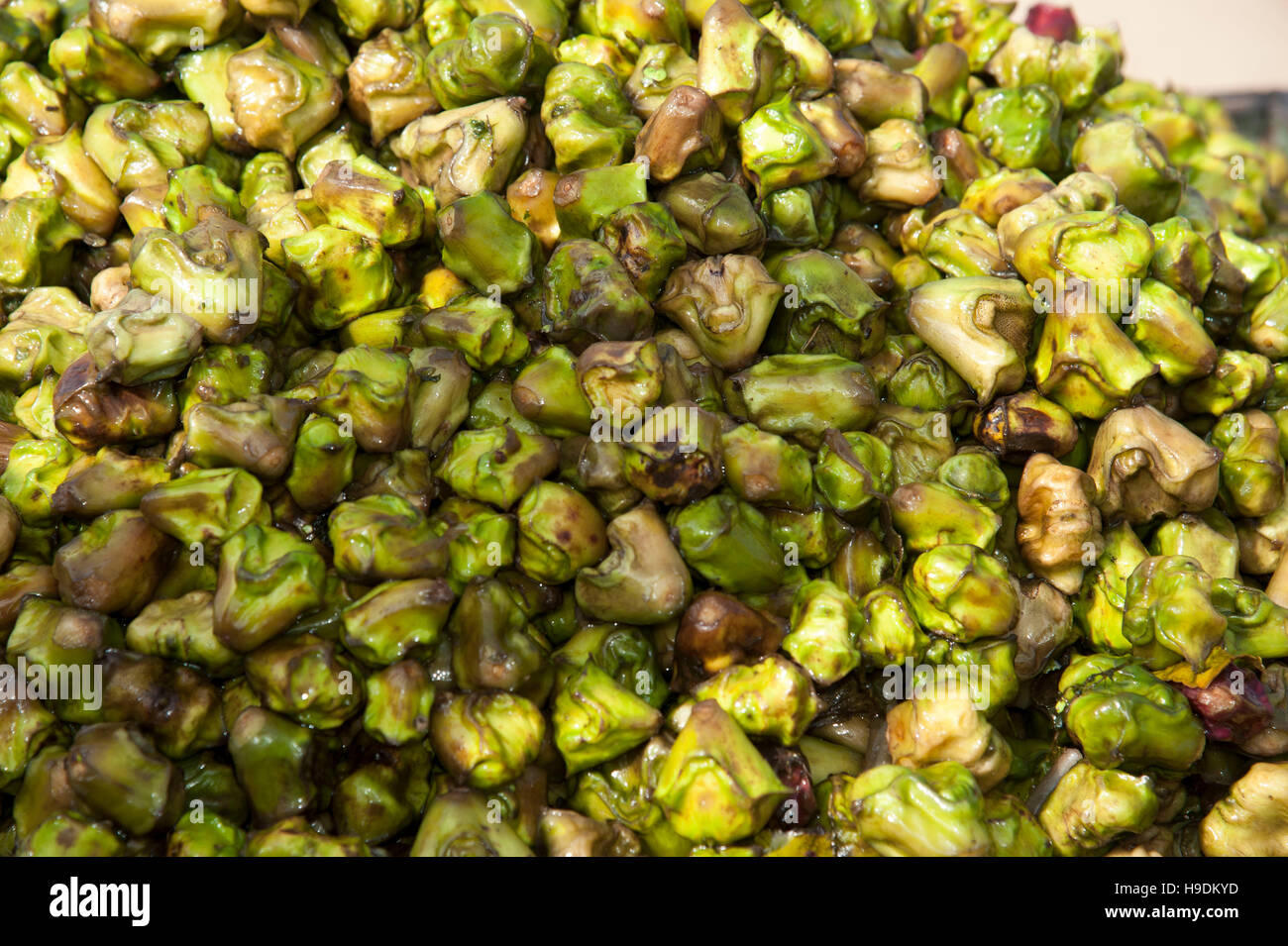 Singhara Water chestnuts at Pushkar Rajasthan India Stock Photo Alamy