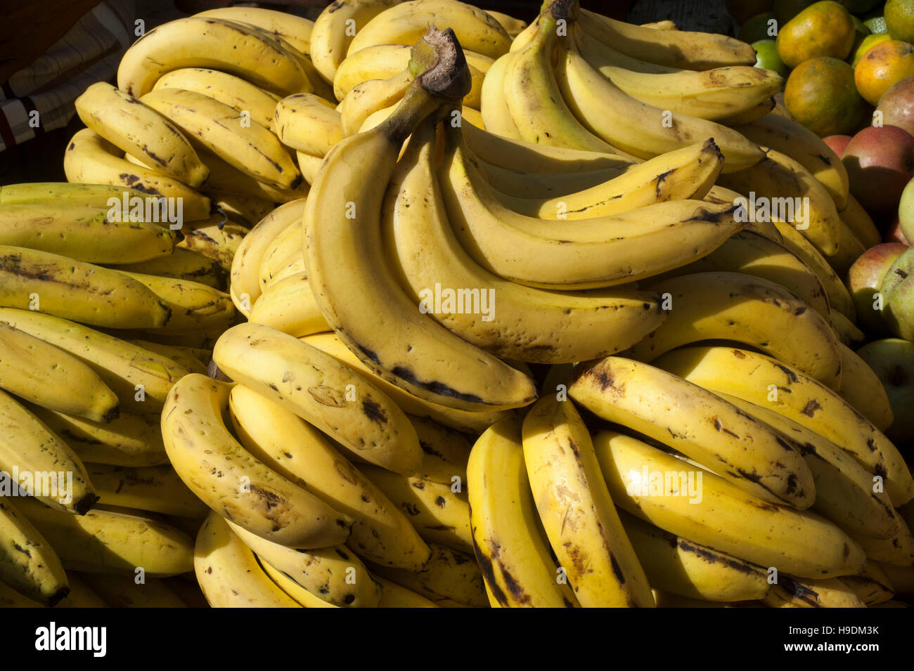 A banana is a fruit or berry. Little known facts about bananas 28 A banana is a fruit or berry. Little known facts about bananas 38