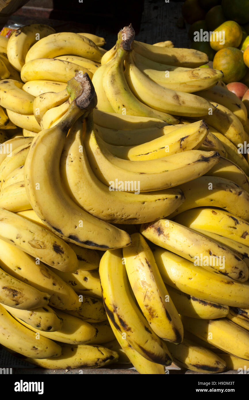 A banana is a fruit or berry. Little known facts about bananas 49 A banana is a fruit or berry. Little known facts about bananas 50