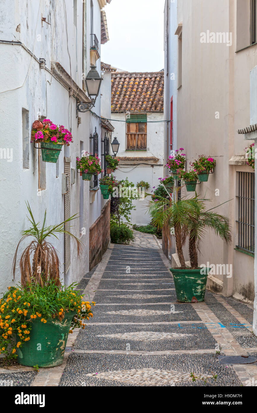 Narrow street in the andalusian town Estepona, Costa del Sol, Spain Stock Photo