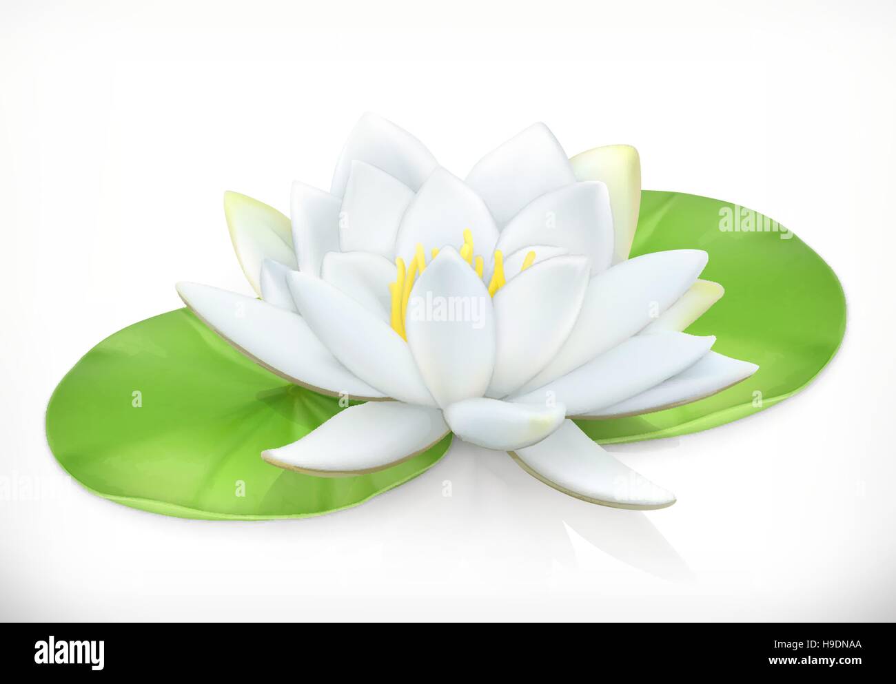 Water lily. Lotus flower. 3d vector icon Stock Vector
