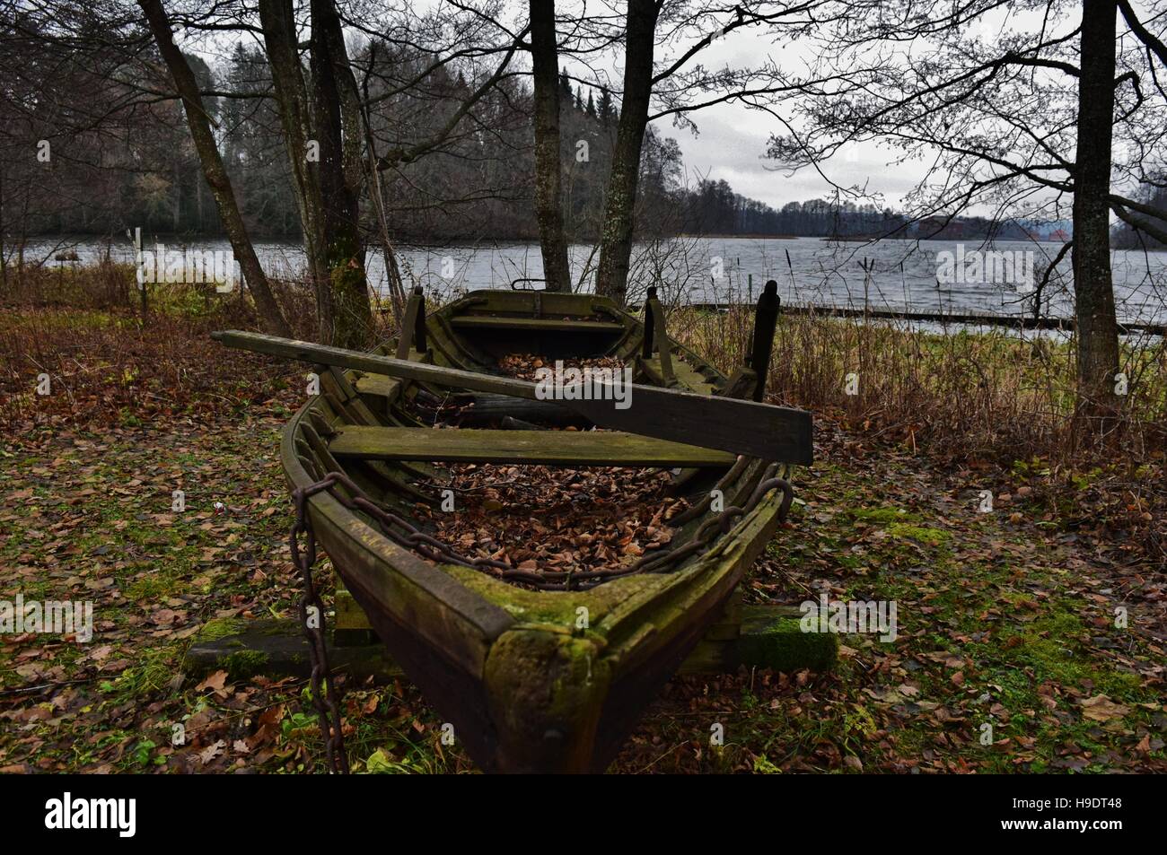 old wooden boat on the beach Stock Photo - Alamy