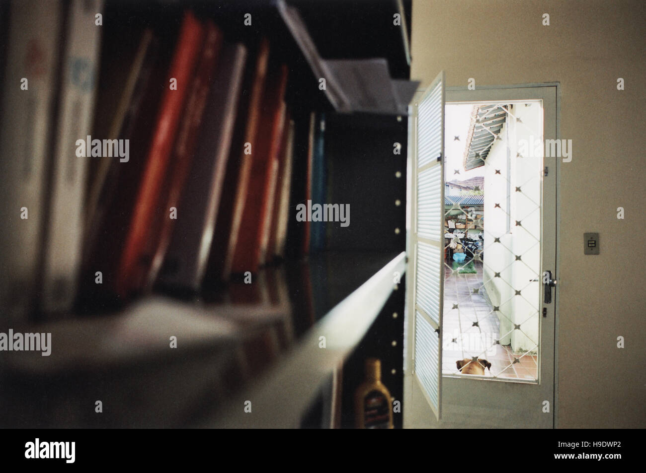 Books in a shell Stock Photo - Alamy