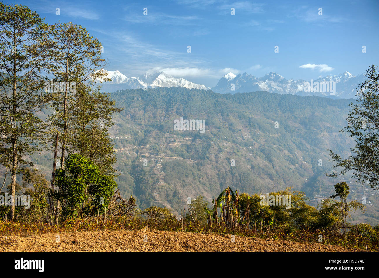 View over the Himalayas and Kanchenjunga, the world's third highest mountain, from Shakti Himalaya's home stay. Stock Photo