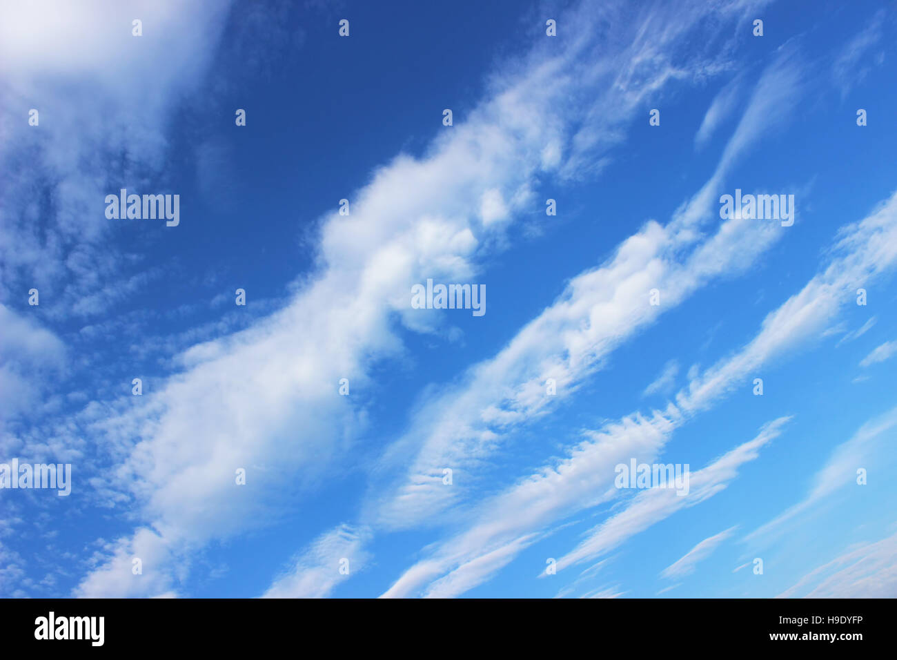 Bands of fair weather clouds arranged in waves across the blue sky. Stock Photo