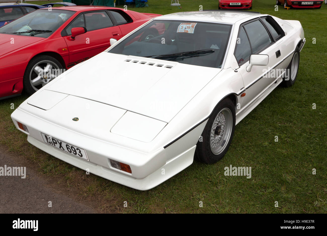 A white, 1986, Lotus Esprit S3, on display in the Lotus Drivers club zone of the Silverstone Classic 2016 Stock Photo