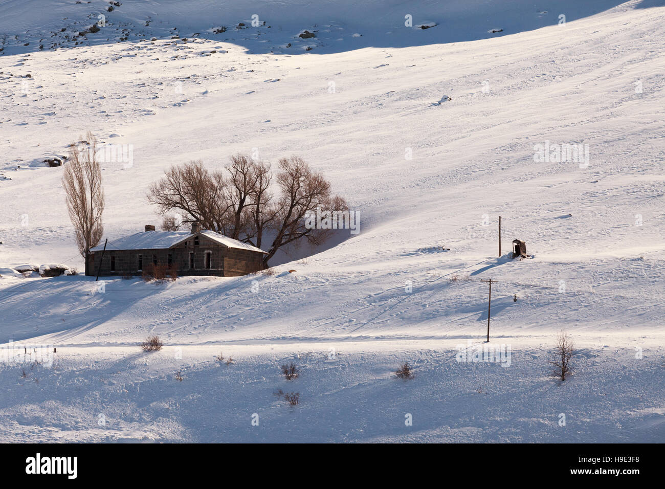 Sarikamis is one of the most beautiful ski resort in Kars province ,Turkey Stock Photo