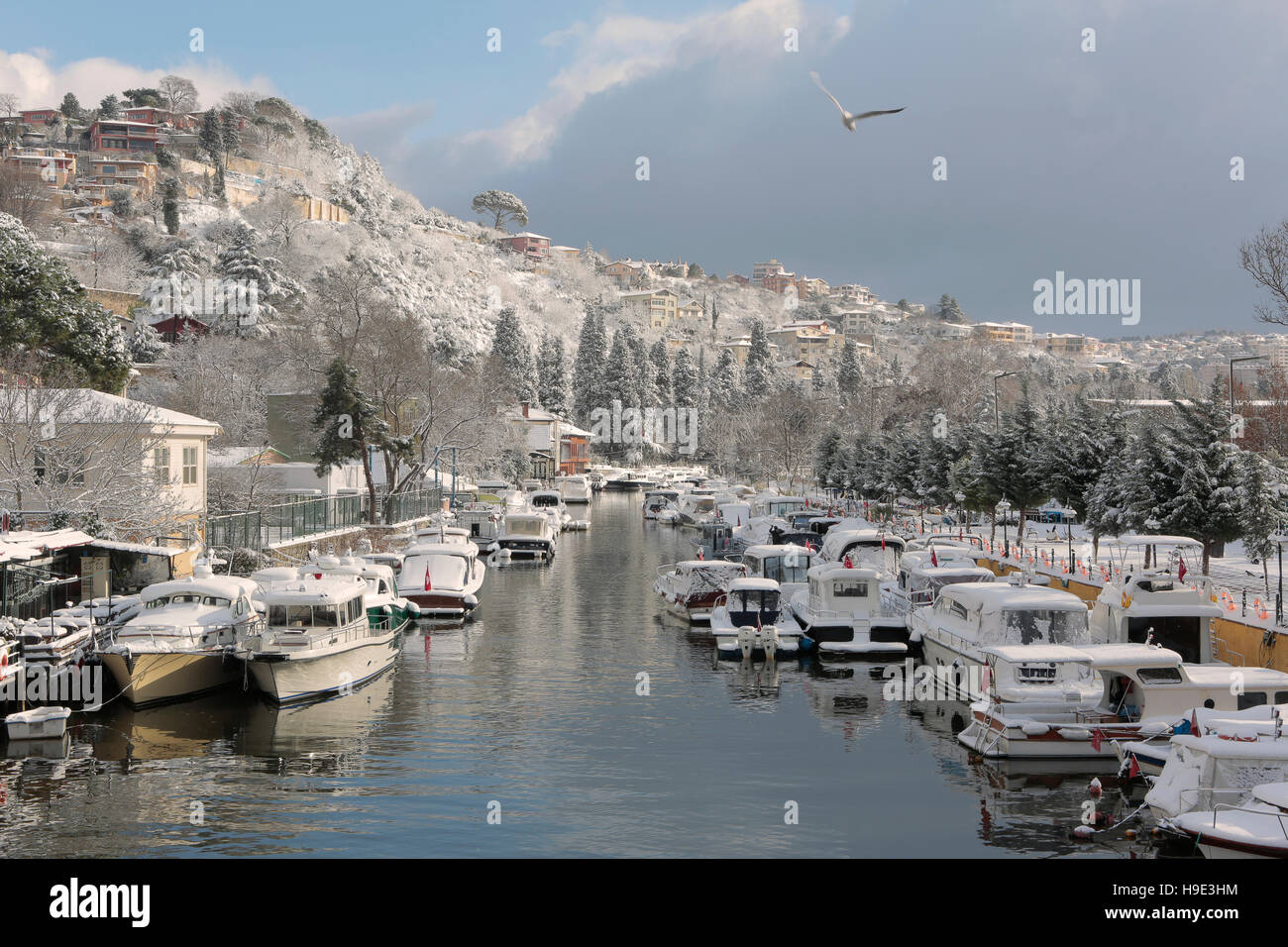 Boats and Yachts covered with snow parked on Goksu Rriver creates very nice landscape with the hill and the trees, Istanbul Stock Photo