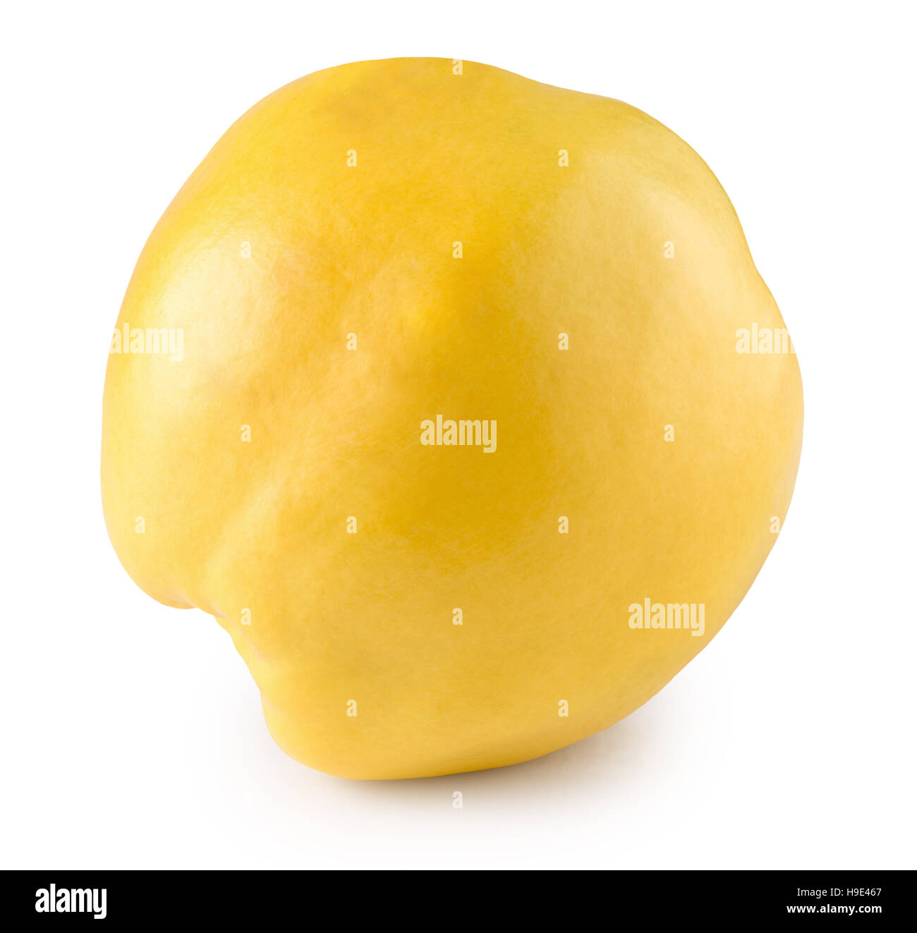 quince isolated on the white background. Stock Photo