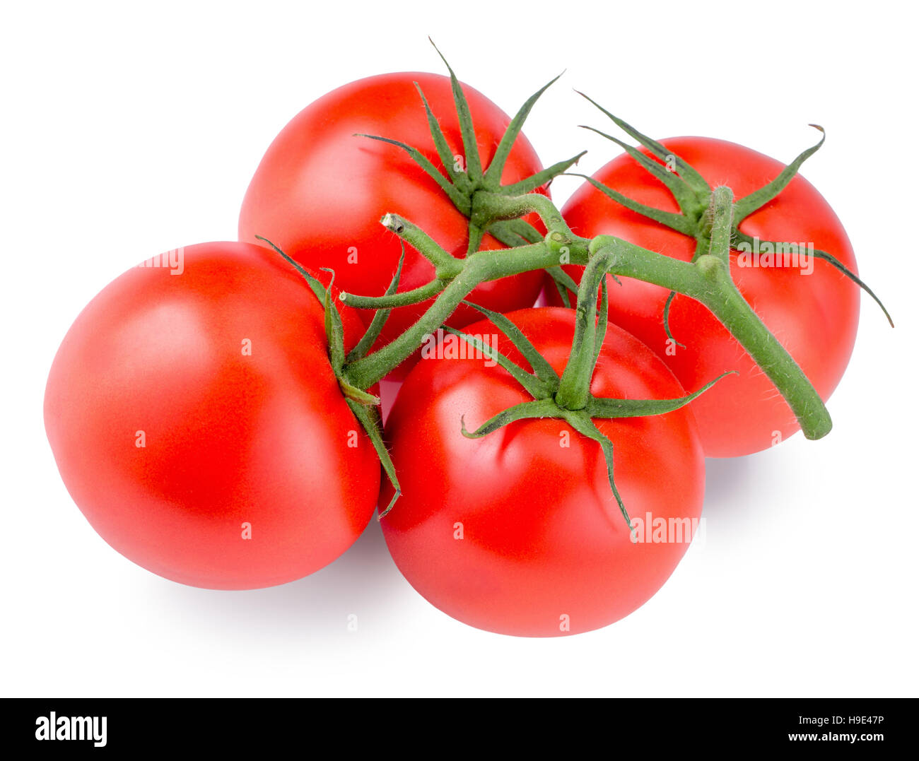 tomatoes isolated on the white background Stock Photo - Alamy