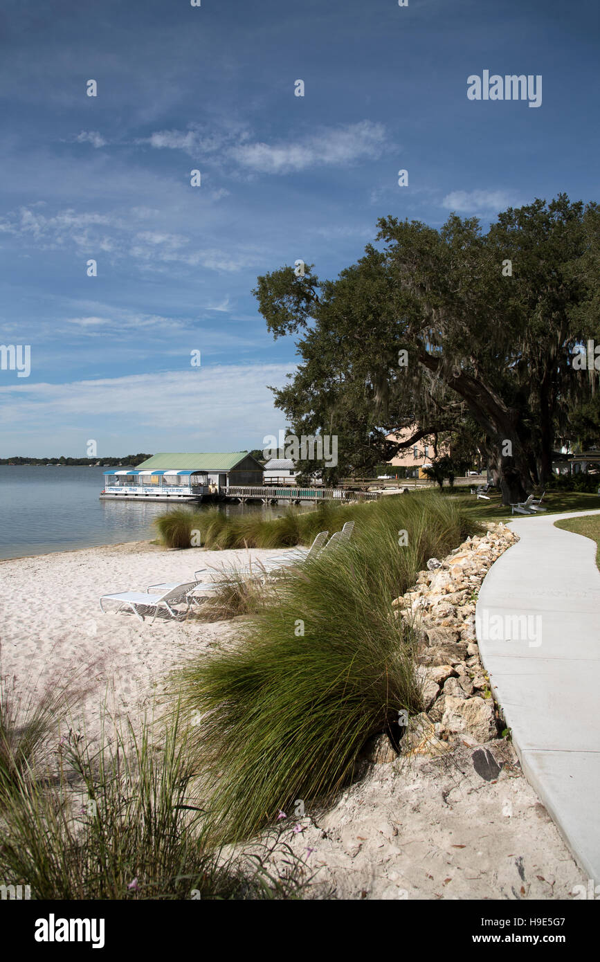 Mount Dora Florida USA Lake Dora beach on the lakeside Stock Photo