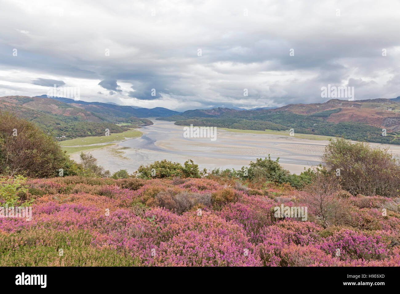 Early autumn over the Mawddach Estuary, from the Panorama Walk, Snowdonia National Park, Gwynedd, North Wales, UK Stock Photo