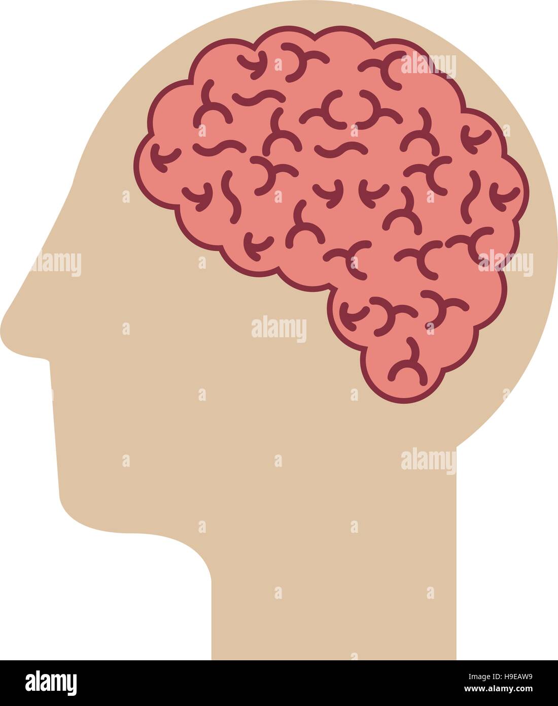 profile head with human brain vector illustration Stock Vector Image ...