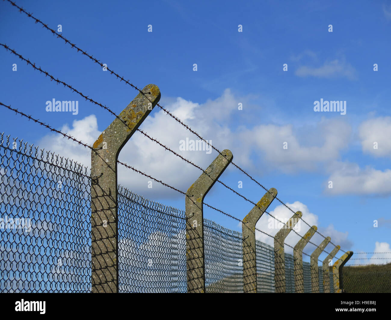Sturdy concrete and wire fencing at animal farm on Isle of Portland