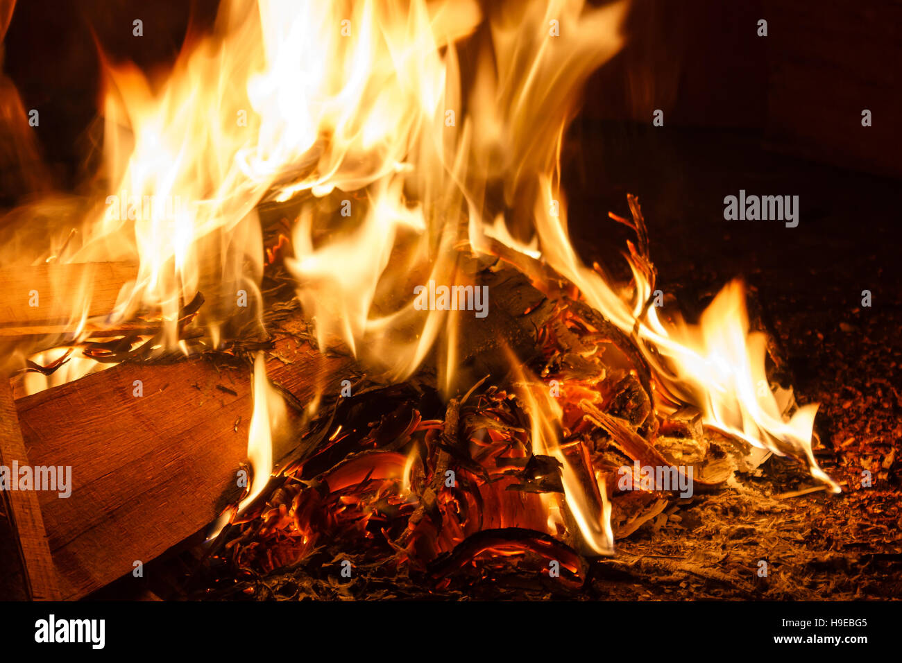 Piles of scrap wood waste are burning on fire. Stock Photo