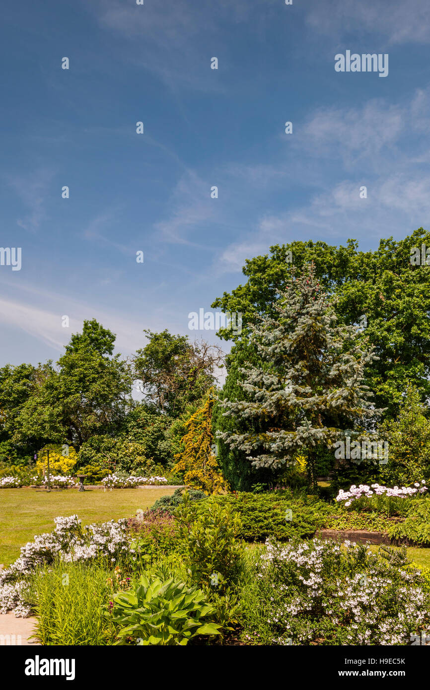 A mature garden in Broome , Bungay , Suffolk , England , Britain , Uk Stock Photo