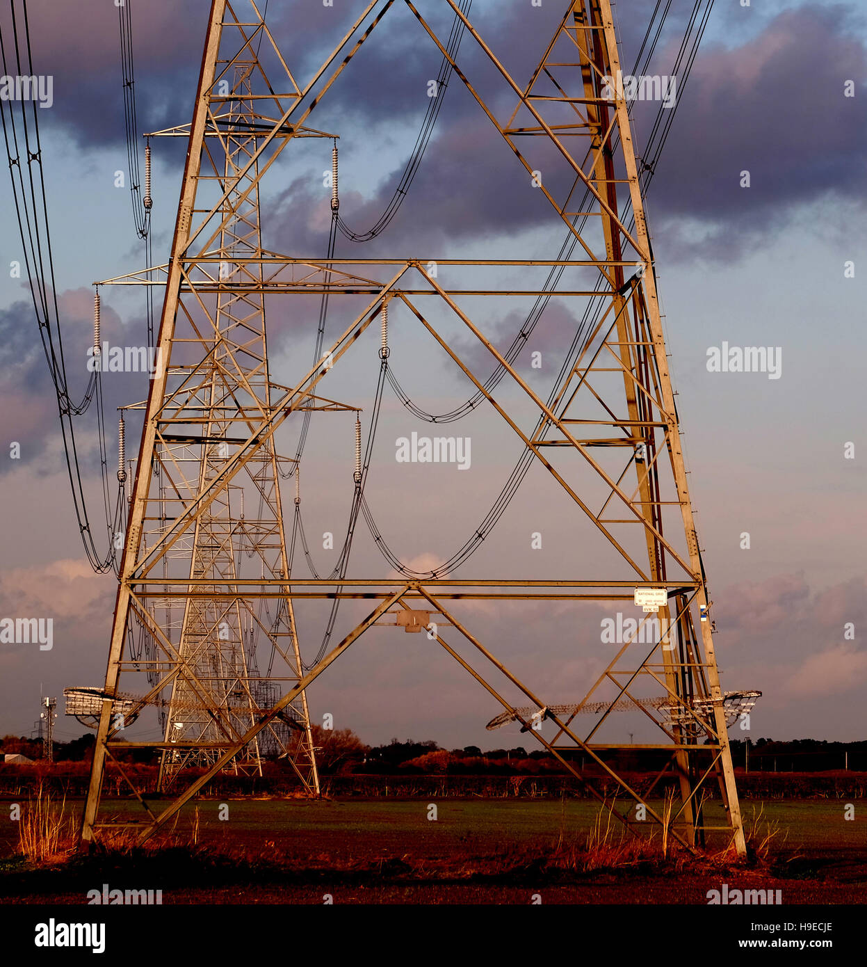 The National Grid pylons near Newark, Nottinghamshire, England, UK Stock Photo