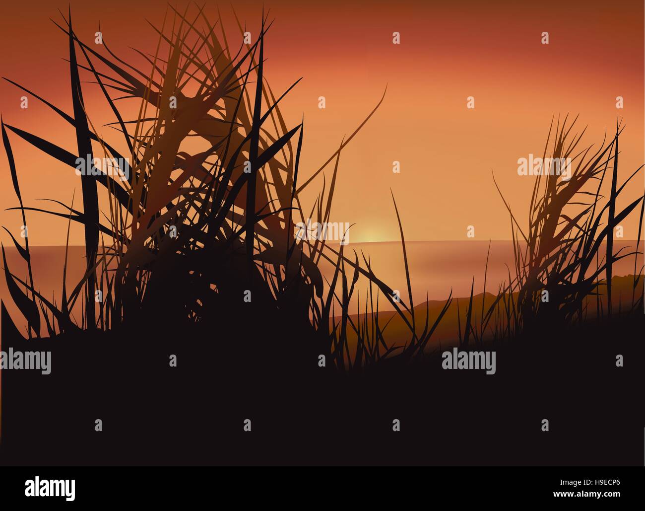 Sunset Lake and Grass Silhouettes Stock Vector Image & Art - Alamy