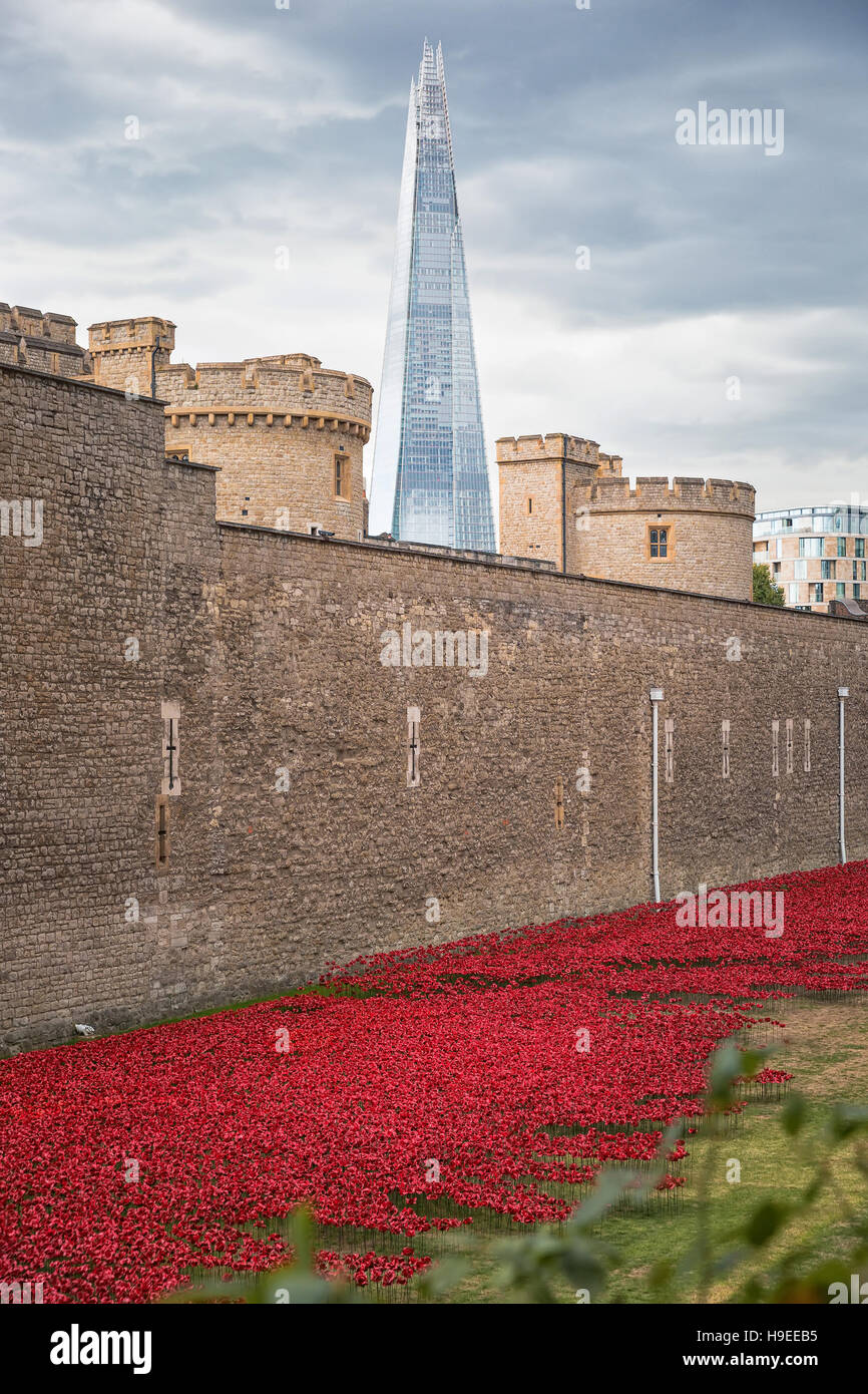 August 2014 - London, United Kingdom: Almost 900,000 ceramic poppies are installed at The Tower of London to commemorate Britain's involvement in the Stock Photo