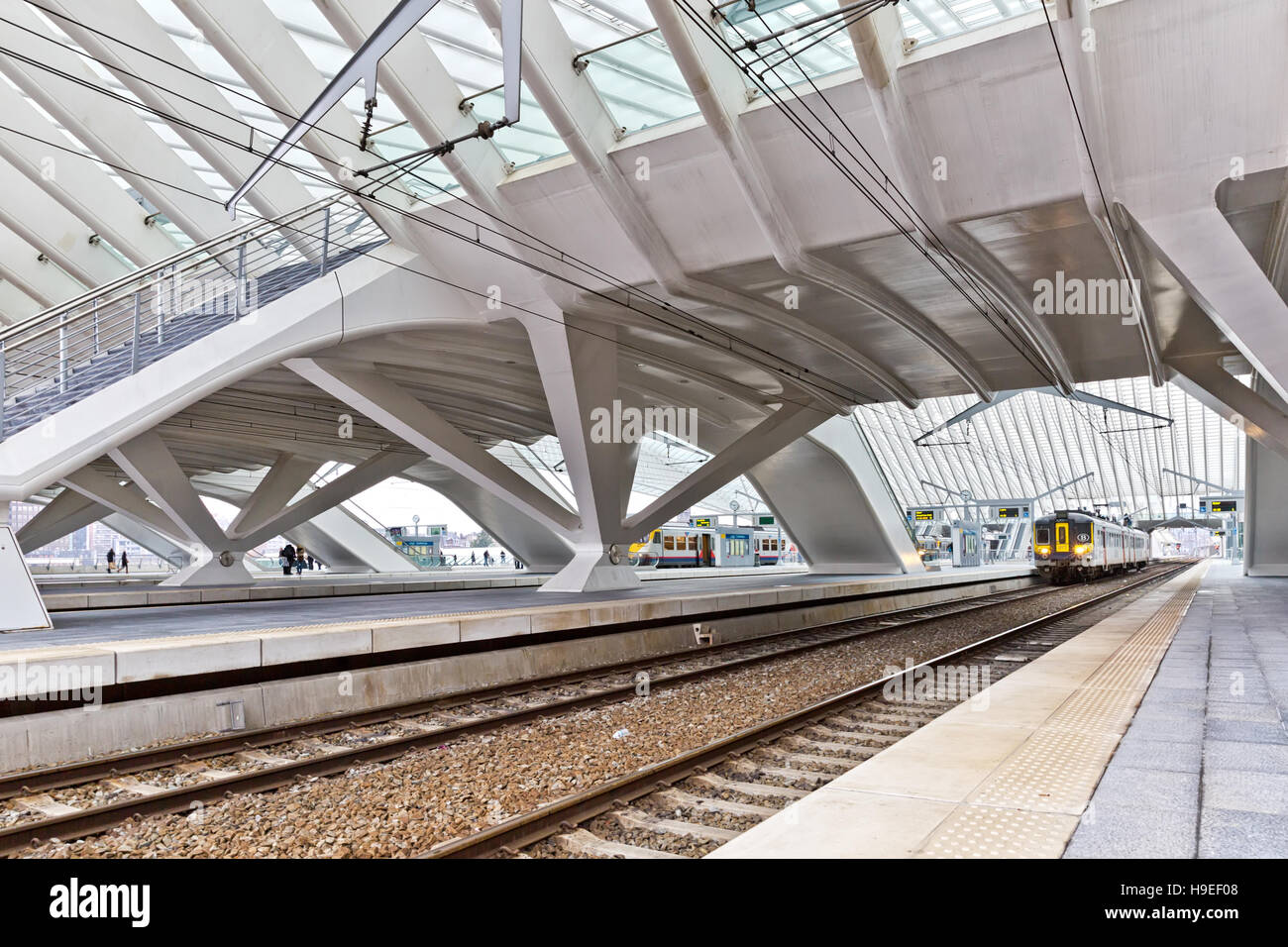 photo Liège-Guillemins Railway Station Belgium https www alamy com stock photo liege belgium december 2014 the liege guillemins railway station this 126323576 html