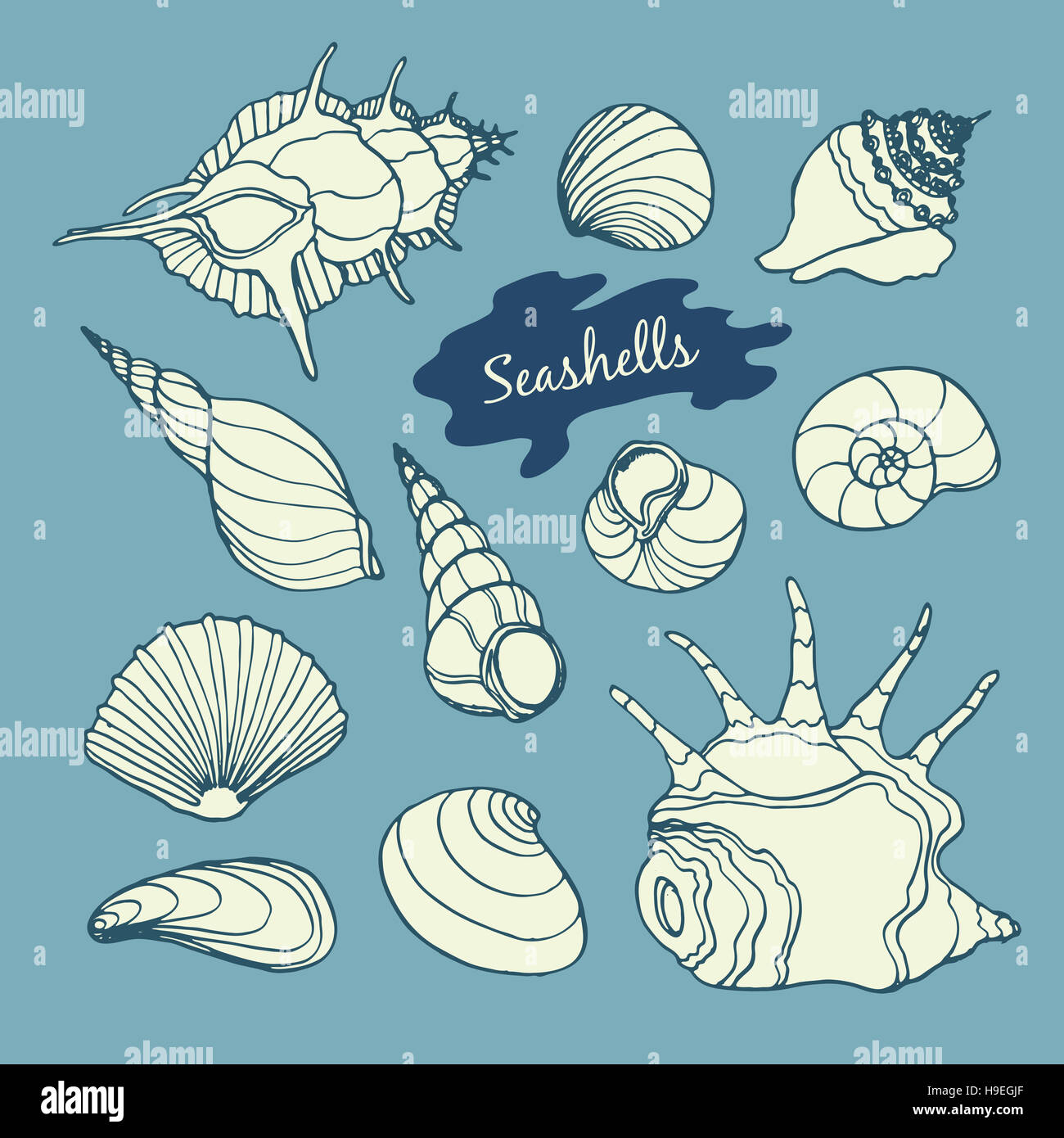 Sea collection with hand drawn vector seashells on blue background ...