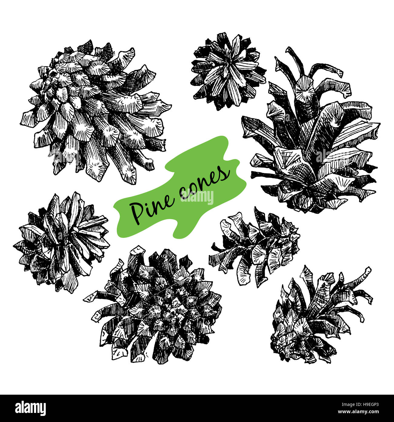 Vintage christmas garland pine Cut Out Stock Images & Pictures - Alamy