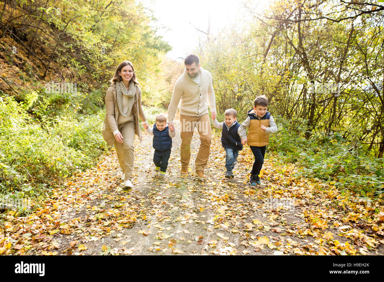 Beautiful young family on a walk in autumn forest Stock Photo - Alamy
