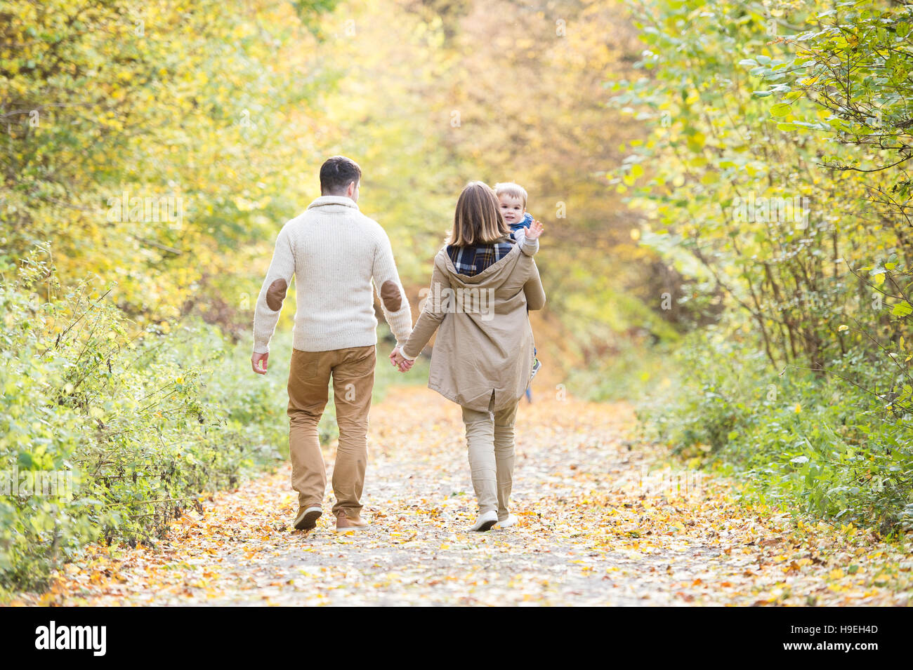 Beautiful young family on a walk in autumn forest Stock Photo - Alamy