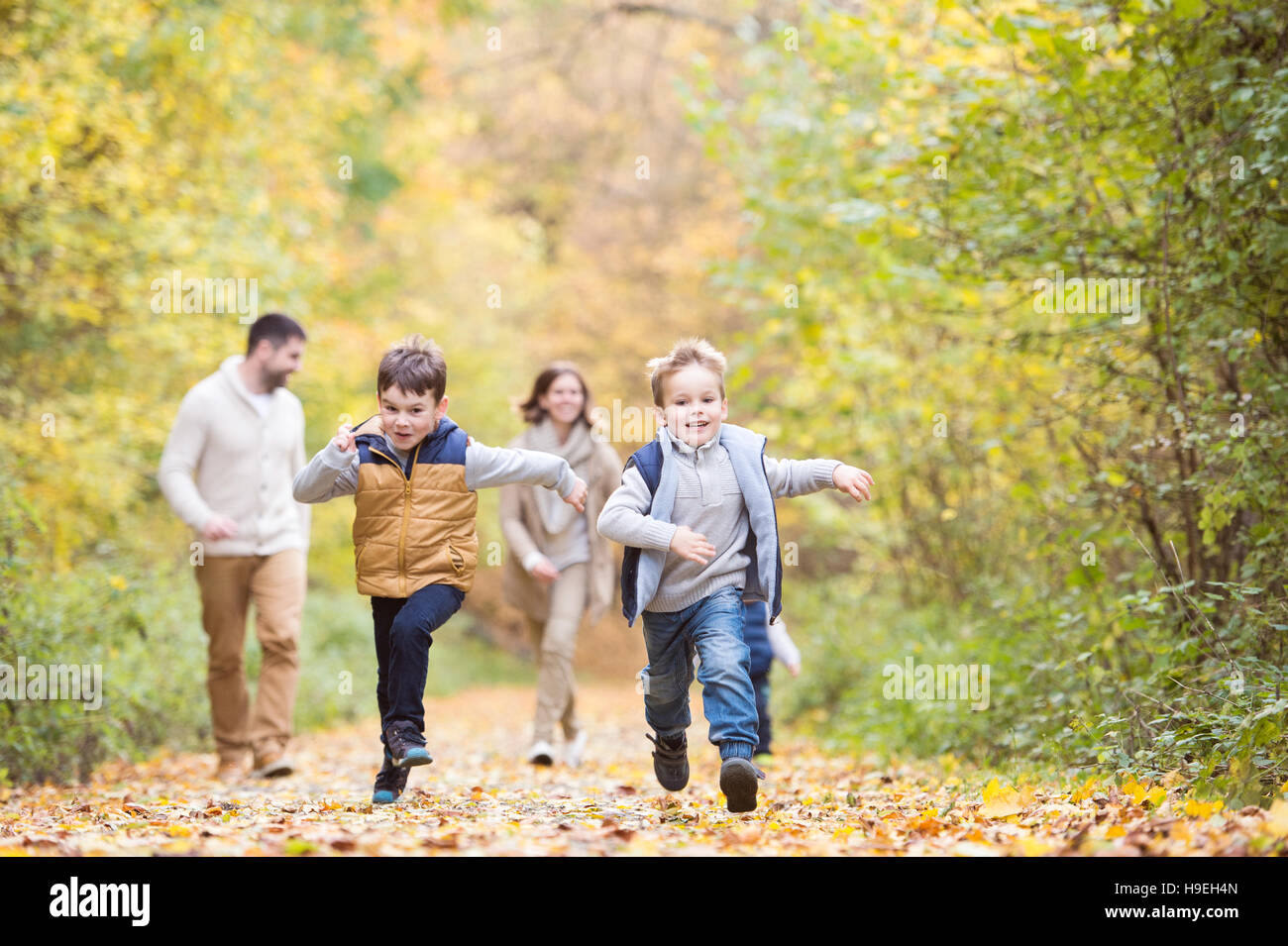 Beautiful young family on a walk in autumn forest Stock Photo - Alamy